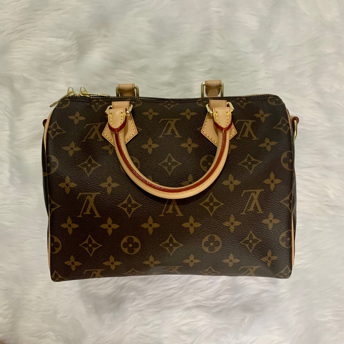 Preloved Louis Vuitton Speedy 25 – Gachi