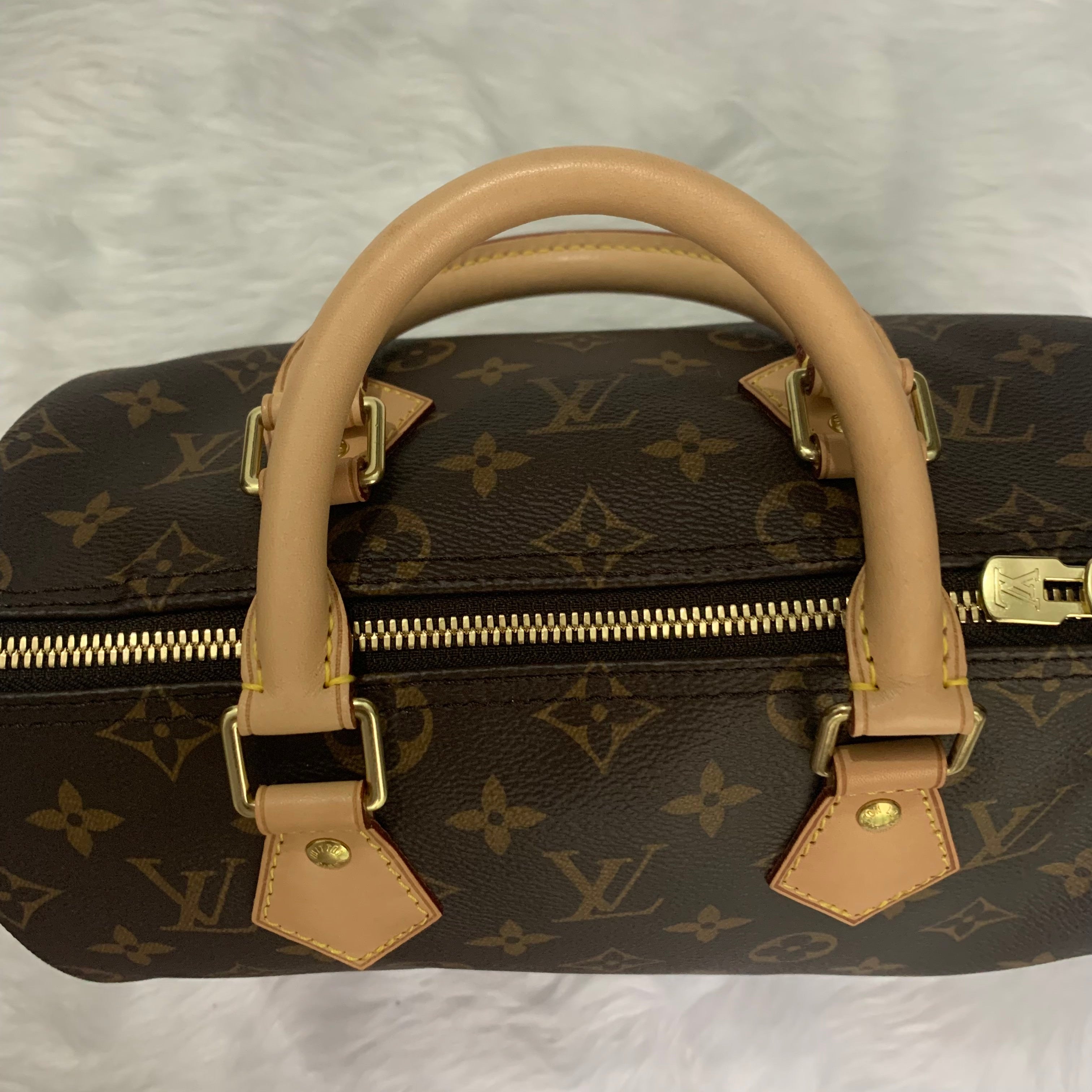 Louis Vuitton Mandarin Epi Leather Speedy 25 Bag - Yoogi's Closet
